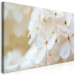 Large canvas print Snow Hydrangea II [Large Format] 137615 additionalThumb 2