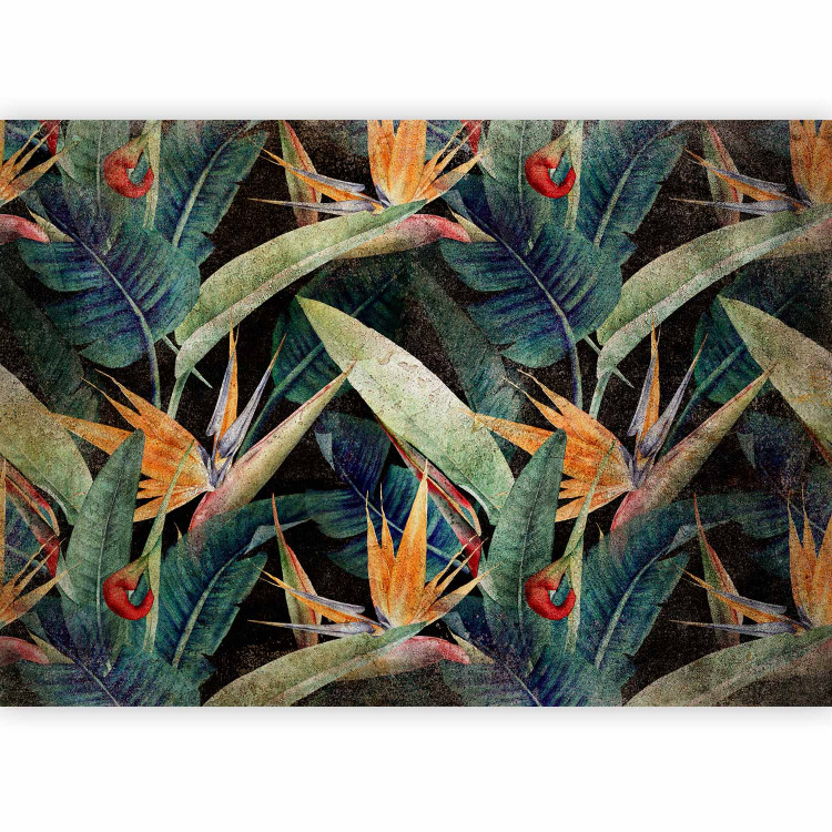 Photo Wallpaper Vegetable landscape - exotic jungle leaves with flowers on black background 138615 additionalImage 5