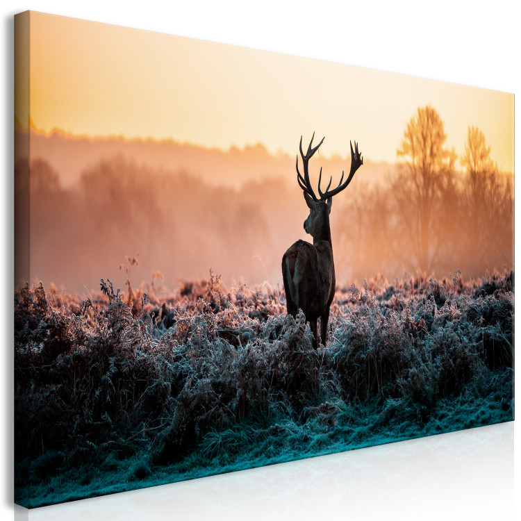 Large canvas print Frosted Field II [Large Format] 149115 additionalImage 2