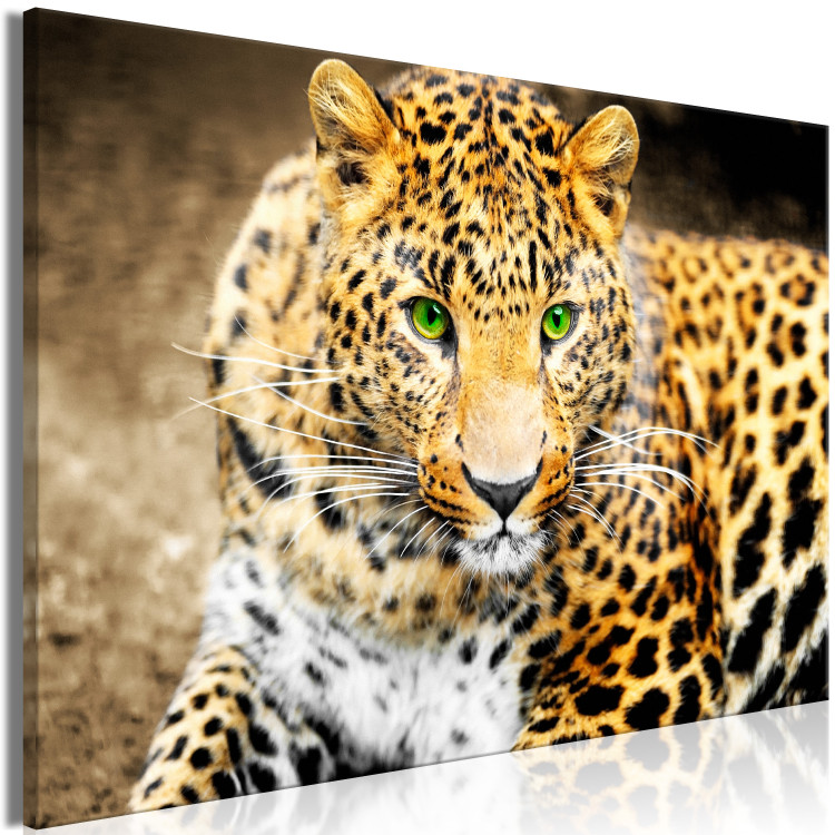 Large canvas print Tiger Gaze [Large Format] 150715 additionalImage 2
