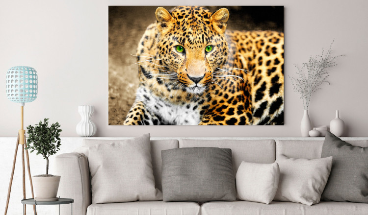 Large canvas print Tiger Gaze [Large Format] 150715 additionalImage 5