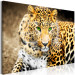 Large canvas print Tiger Gaze [Large Format] 150715 additionalThumb 2