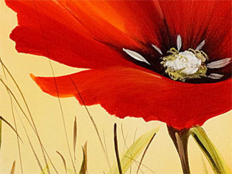 Canvas Lovely poppies 47215 additionalImage 3