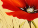 Canvas Lovely poppies 47215 additionalThumb 3