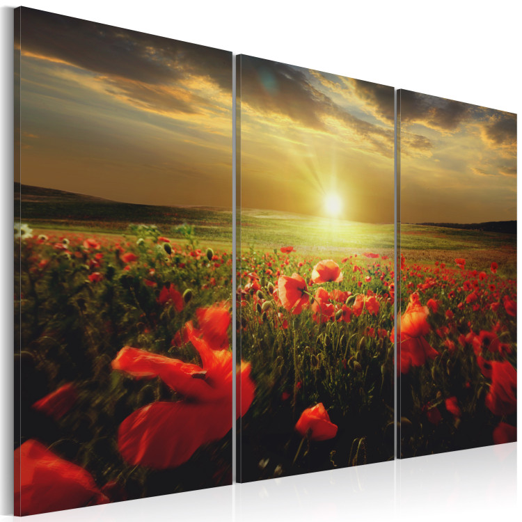 Canvas The sky of my land - triptych 50215 additionalImage 2