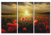 Canvas The sky of my land - triptych 50215
