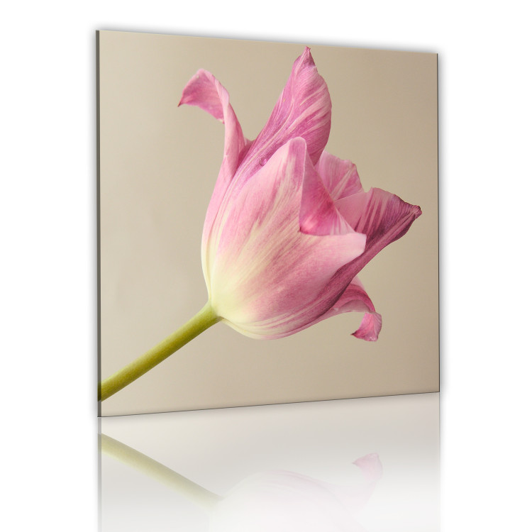 Canvas Art Print Tulip flower 58615 additionalImage 2