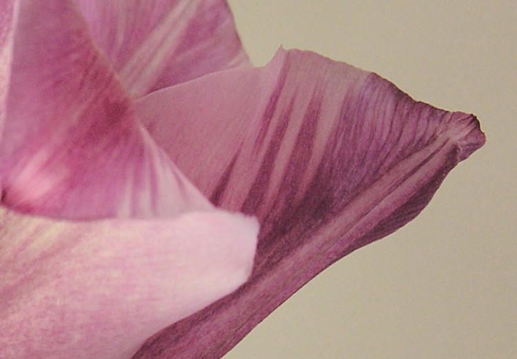 Canvas Art Print Tulip flower 58615 additionalImage 5