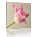 Canvas Art Print Tulip flower 58615 additionalThumb 2