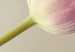 Canvas Art Print Tulip flower 58615 additionalThumb 4