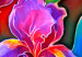 Canvas Print Rainbow Irises (1-piece) - Abstract Flowers in Sunlight 98215 additionalThumb 4