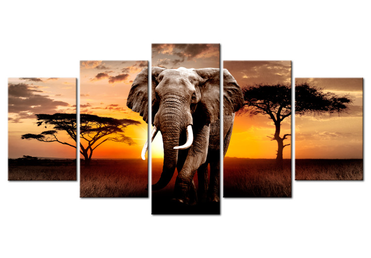 Canvas Elephant Trek (5-piece) - Sunset on the African Savanna 98615