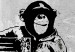 Canvas Banksy: Monkey with Frame 106525 additionalThumb 5