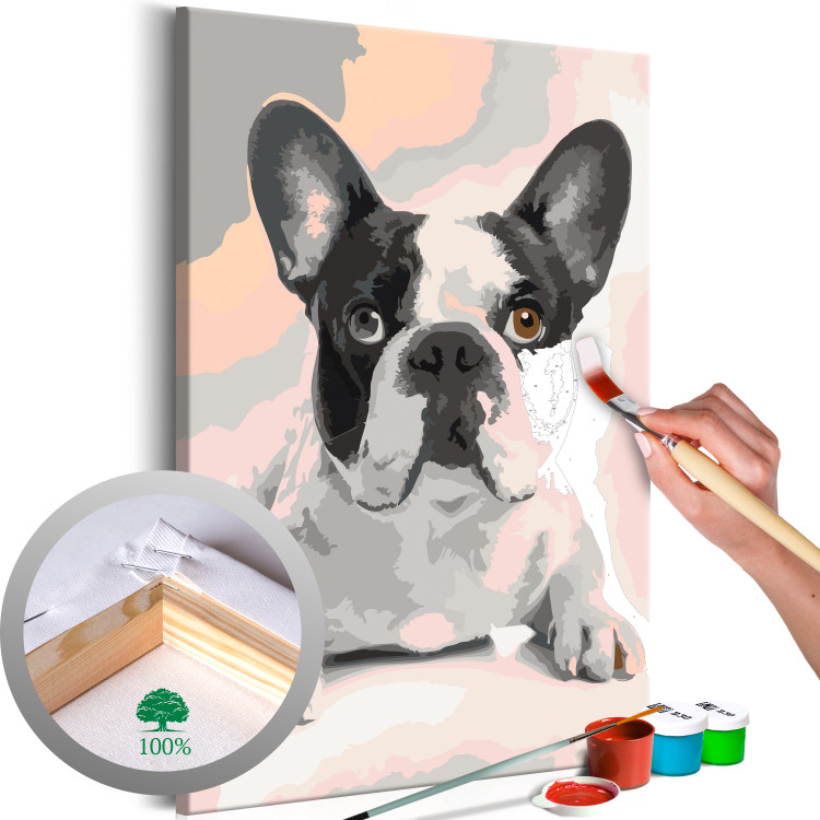Paint by Number Kit French Bulldog  107125