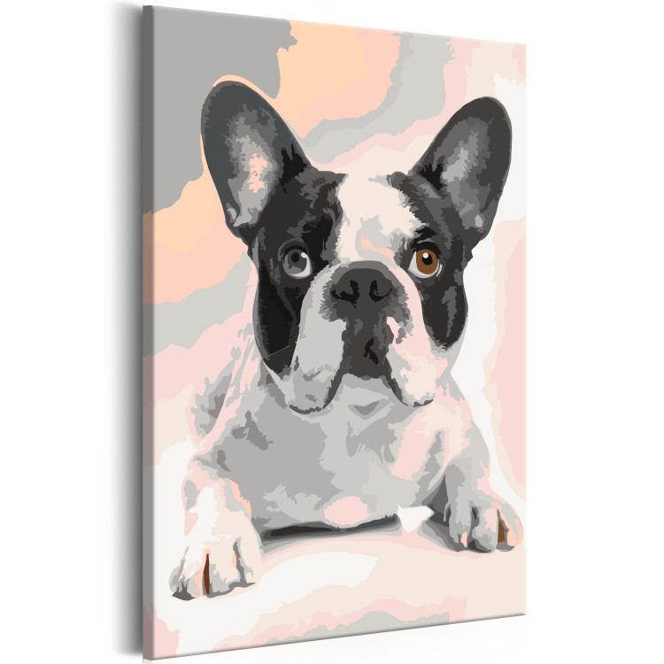 Paint by Number Kit French Bulldog  107125 additionalImage 6