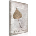 Canvas Print Leaf in Rustic Frame (1-part) - Nature on Textured Background 115025 additionalThumb 2