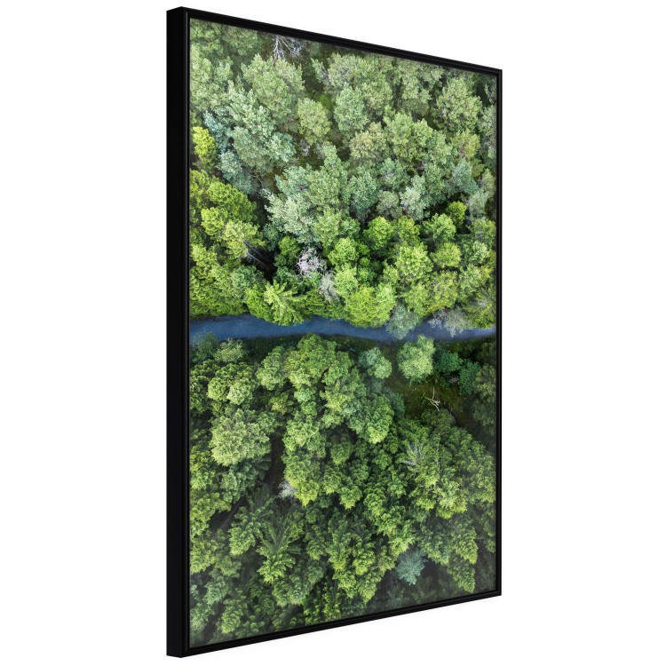 Poster Path through the forest - green landscape of forest trees from a bird's eye view 116425 additionalImage 12