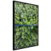 Poster Path through the forest - green landscape of forest trees from a bird's eye view 116425 additionalThumb 10