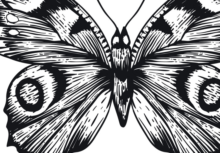 Canvas Butterflies in love - two black and white butterflies in line art 116925 additionalImage 4