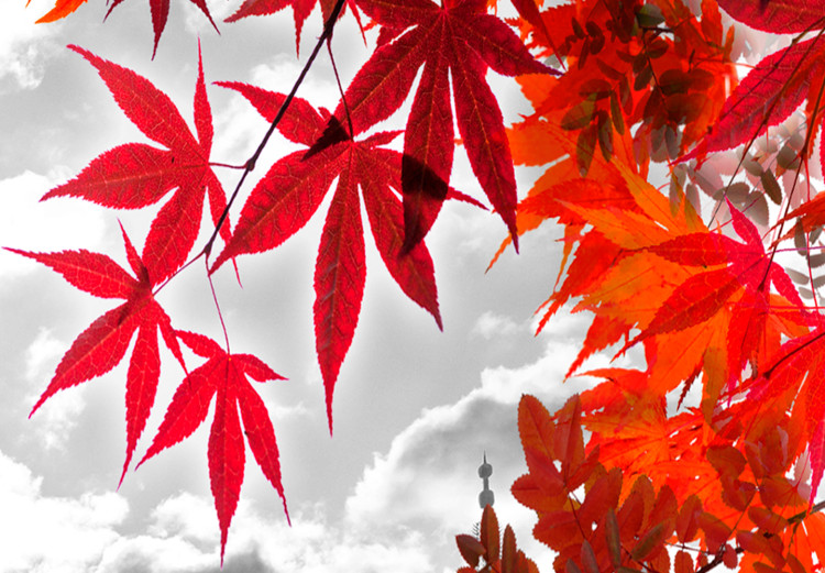 Canvas Kyoto, Japan (1 Part) Wide 123425 additionalImage 4