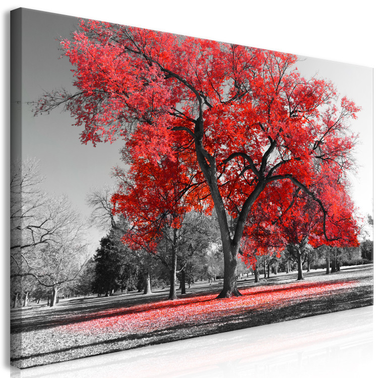 Large canvas print Autumn in the Park (Red) II [Large Format] 125625 additionalImage 2