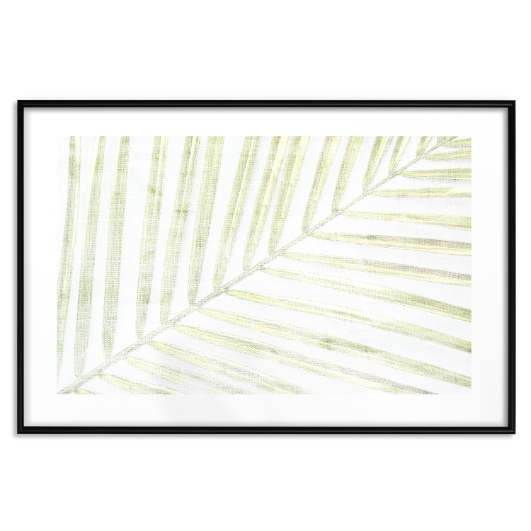 Wall Poster Palm Leaf - light green leafy composition of a tropical plant 126825 additionalImage 15