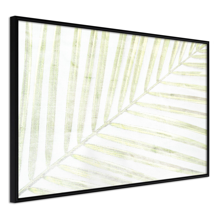Wall Poster Palm Leaf - light green leafy composition of a tropical plant 126825 additionalImage 11