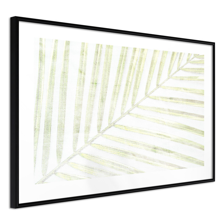 Wall Poster Palm Leaf - light green leafy composition of a tropical plant 126825 additionalImage 6