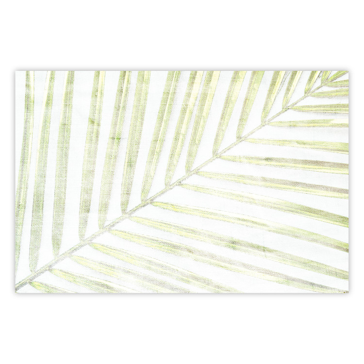 Wall Poster Palm Leaf - light green leafy composition of a tropical plant 126825