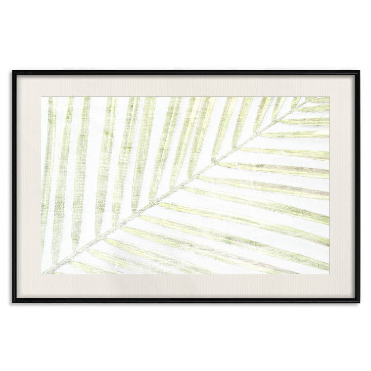 Wall Poster Palm Leaf - light green leafy composition of a tropical plant 126825 additionalImage 19