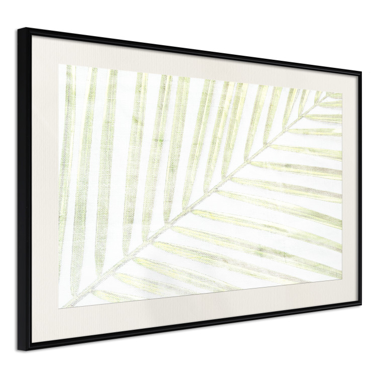 Wall Poster Palm Leaf - light green leafy composition of a tropical plant 126825 additionalImage 2