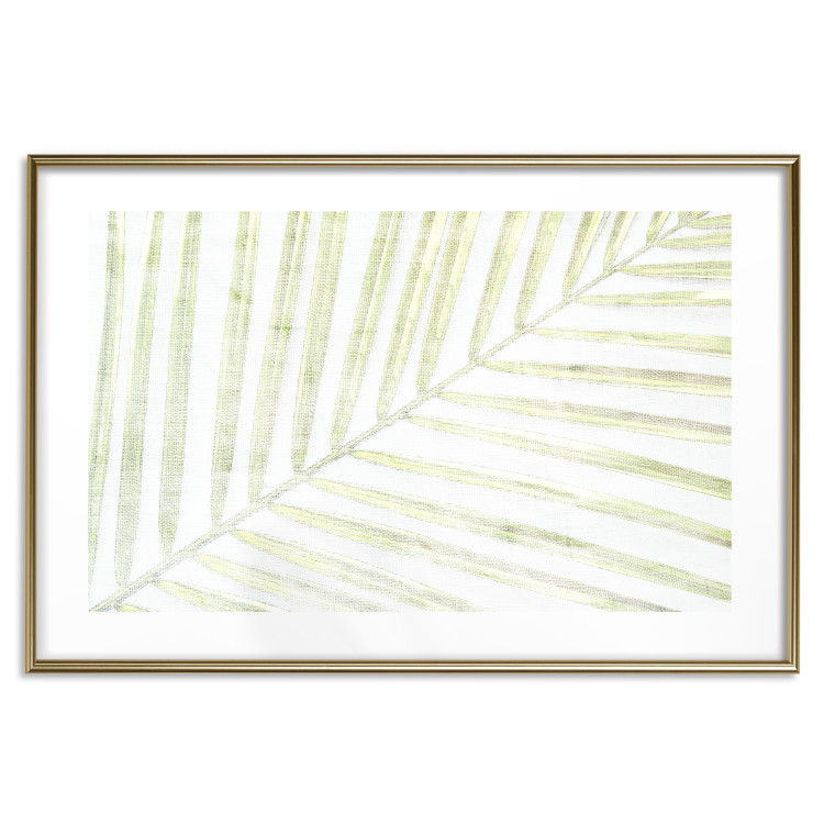 Wall Poster Palm Leaf - light green leafy composition of a tropical plant 126825 additionalImage 14