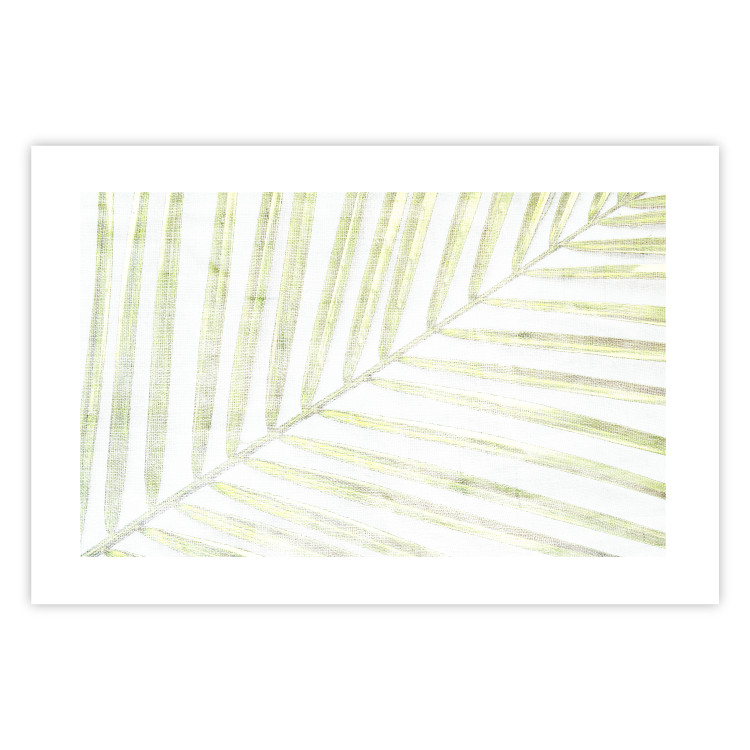 Wall Poster Palm Leaf - light green leafy composition of a tropical plant 126825 additionalImage 25