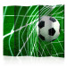 Room Divider Screen Goool! II (5-piece) - soccer ball against a white net and turf 133325