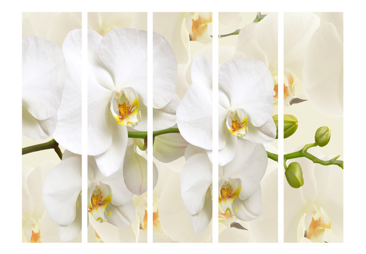 Folding Screen Orchid Branch II - composition of white lily flowers on a light background 133825 additionalImage 3