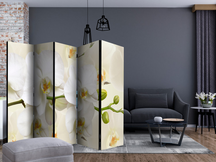 Folding Screen Orchid Branch II - composition of white lily flowers on a light background 133825 additionalImage 4