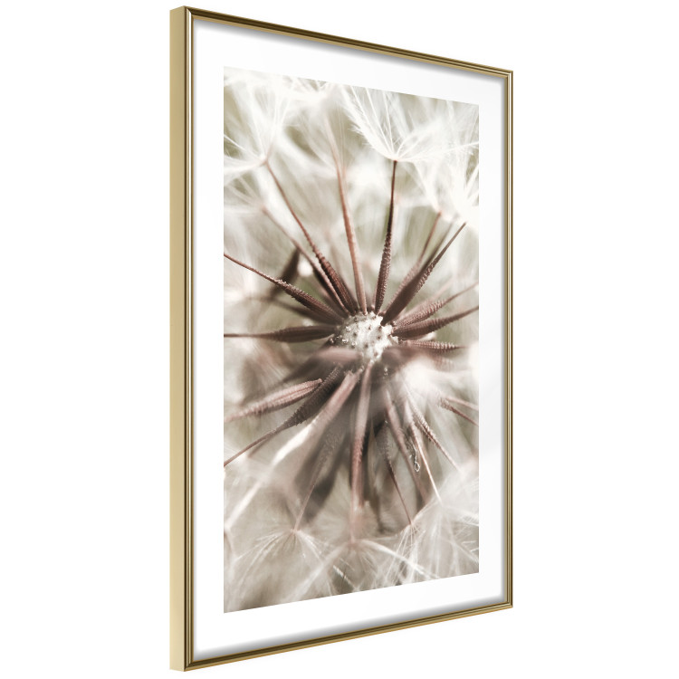 Poster Close to Nature - summer composition with a delicate dandelion flower 135825 additionalImage 10