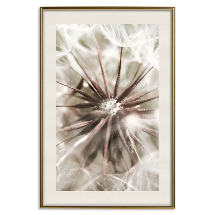 Poster Close to Nature - summer composition with a delicate dandelion flower 135825 additionalImage 7
