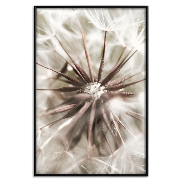 Poster Close to Nature - summer composition with a delicate dandelion flower 135825 additionalImage 24