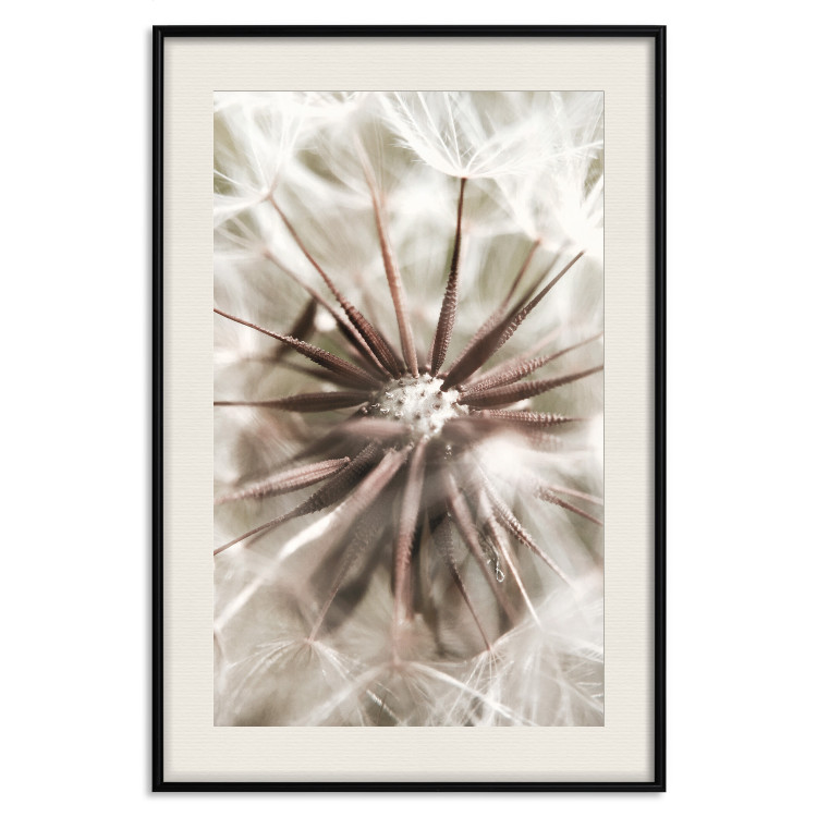 Poster Close to Nature - summer composition with a delicate dandelion flower 135825 additionalImage 6