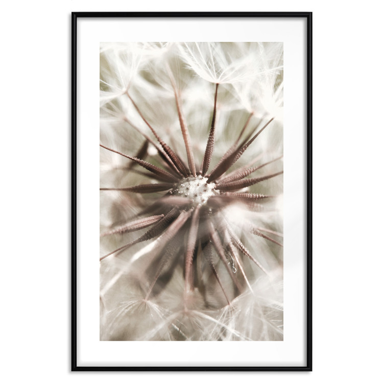 Poster Close to Nature - summer composition with a delicate dandelion flower 135825 additionalImage 26
