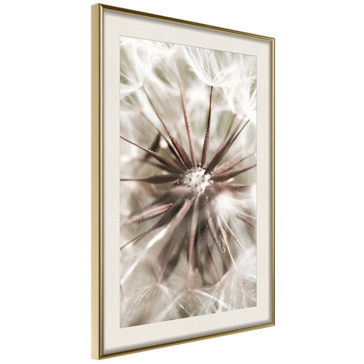 Poster Close to Nature - summer composition with a delicate dandelion flower 135825 additionalImage 12