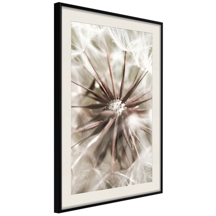 Poster Close to Nature - summer composition with a delicate dandelion flower 135825 additionalImage 11