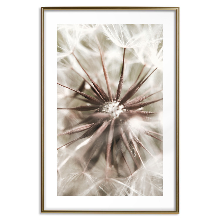 Poster Close to Nature - summer composition with a delicate dandelion flower 135825 additionalImage 27