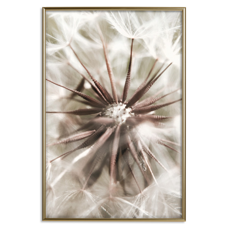 Poster Close to Nature - summer composition with a delicate dandelion flower 135825 additionalImage 25