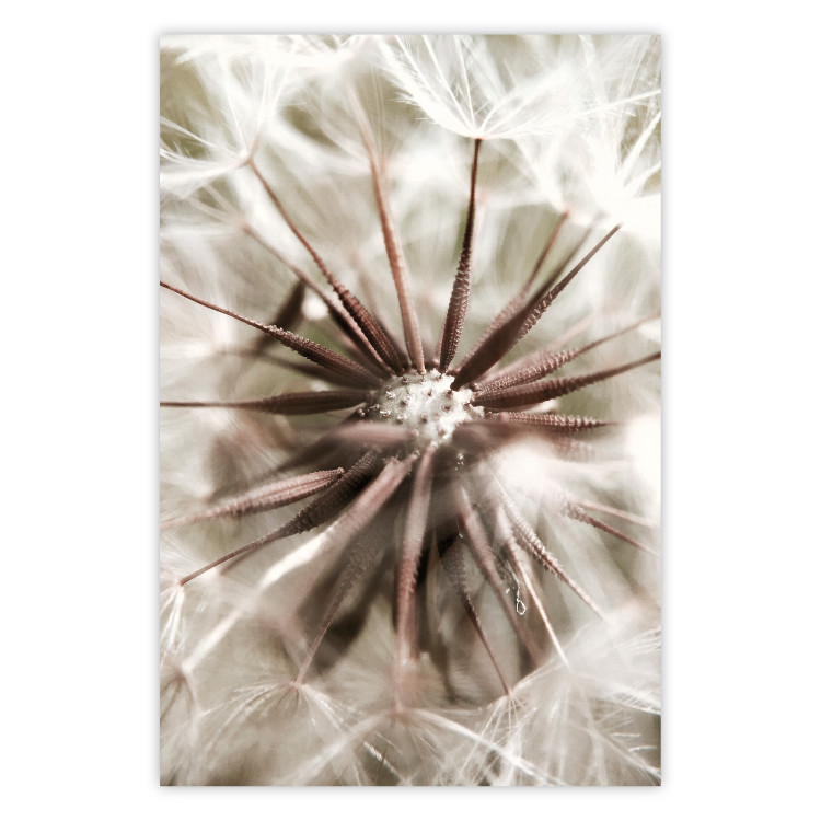 Poster Close to Nature - summer composition with a delicate dandelion flower 135825