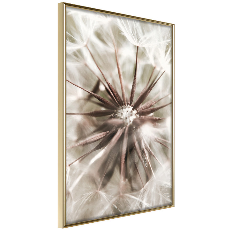 Poster Close to Nature - summer composition with a delicate dandelion flower 135825 additionalImage 8