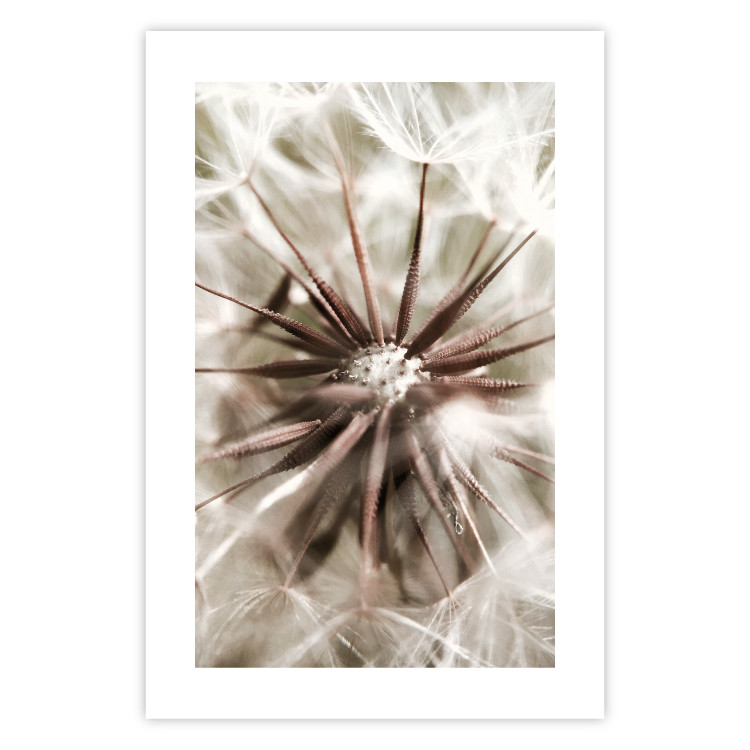 Poster Close to Nature - summer composition with a delicate dandelion flower 135825 additionalImage 23