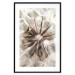 Poster Close to Nature - summer composition with a delicate dandelion flower 135825 additionalThumb 26