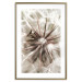 Poster Close to Nature - summer composition with a delicate dandelion flower 135825 additionalThumb 27